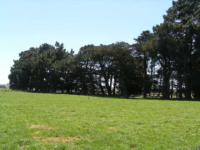 NZ leden-unor 2006 110.jpg